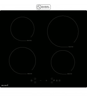 VERRE INDUCTION TI4V-120