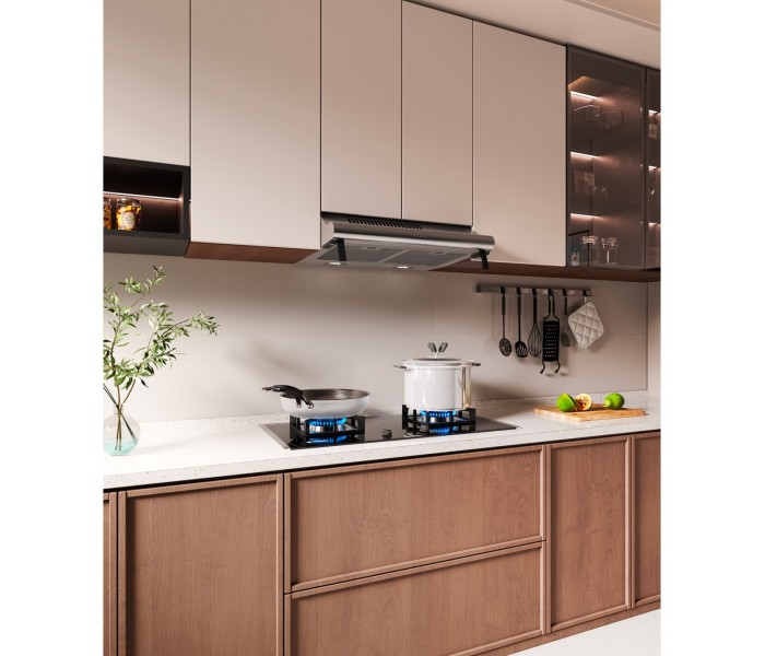 hotte casquette, hotte visière, inox, 60 cm, double moteur, puissante