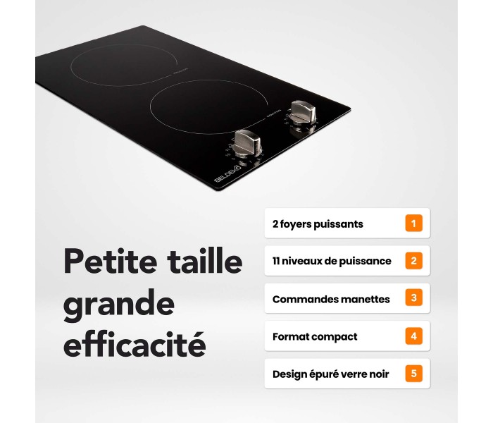 Plaque de cuisson, 2 feux, 2 foyers, 2 zones, encastrable, commande, boutons, manette