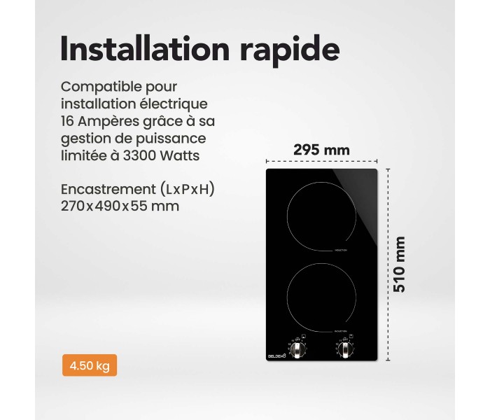 Plaque de cuisson, 2 feux, 2 foyers, 2 zones, encastrable, commande, boutons, manette