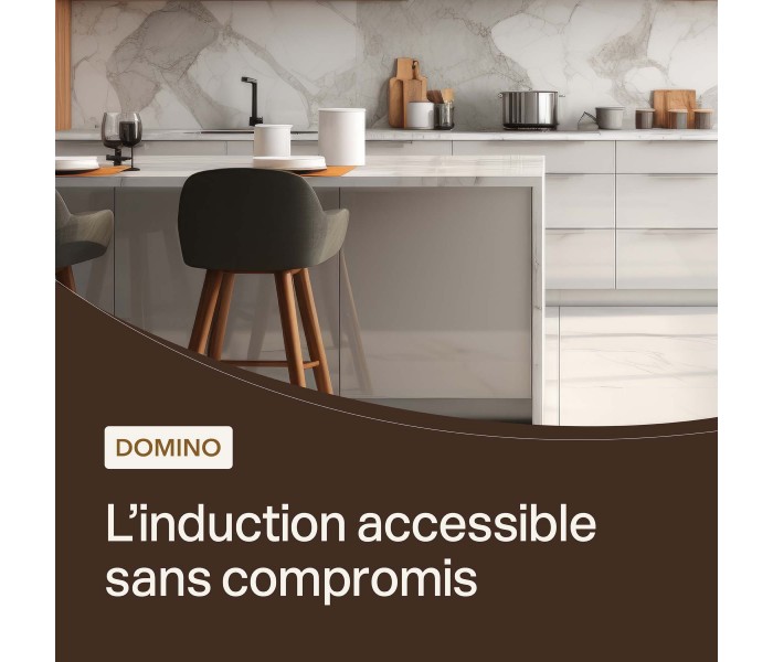 Plaque induction 2 feux, 2 foyers, dominio induction, prise