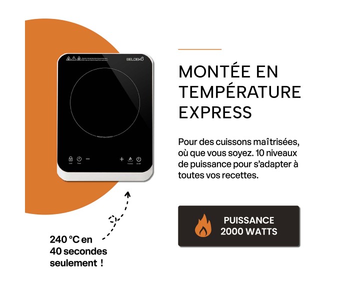 plaque de cuisson 1 feux portable