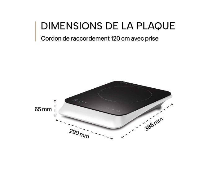 plaque de cuisson 1 feux portable