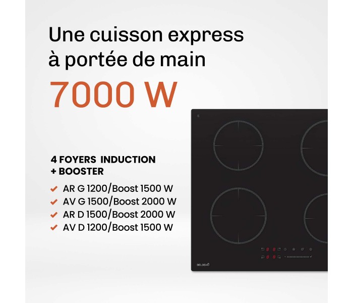 plaque induction 4 feux noir mat antirayure 4 zones